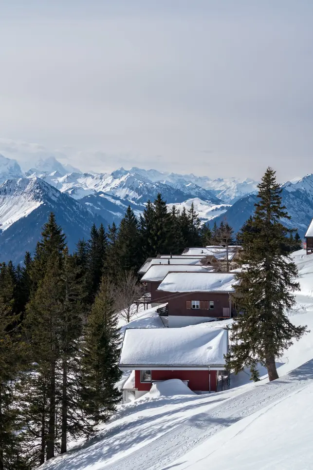 Toitures couvertes d'une épaisse couche de neige entre les sapins